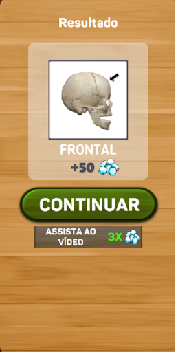 Descobrindo Anatomia