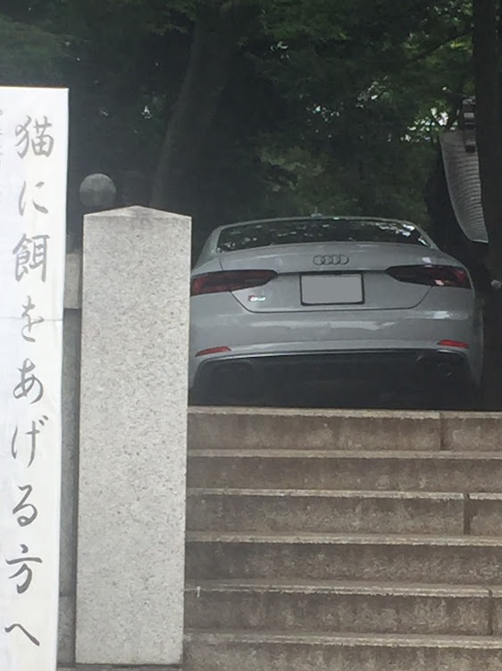 M5の洗車・青の素・アストロツール・アニメイト・ヲタクに関するカスタム事例の投稿画像3枚目