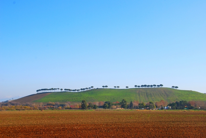 Colline armoniche di si