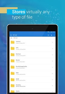 File Manager - File explorer