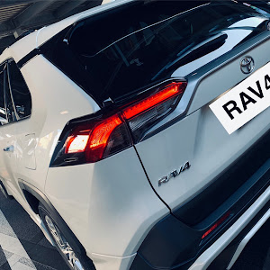 RAV4 MXAA54