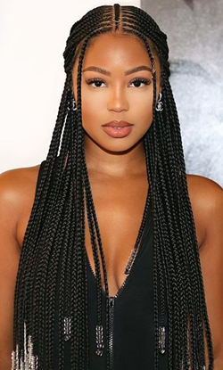 braids hairstyles 2022