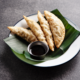 Fried Dumplings