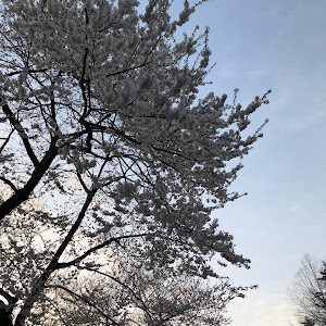 アルファード AYH30W