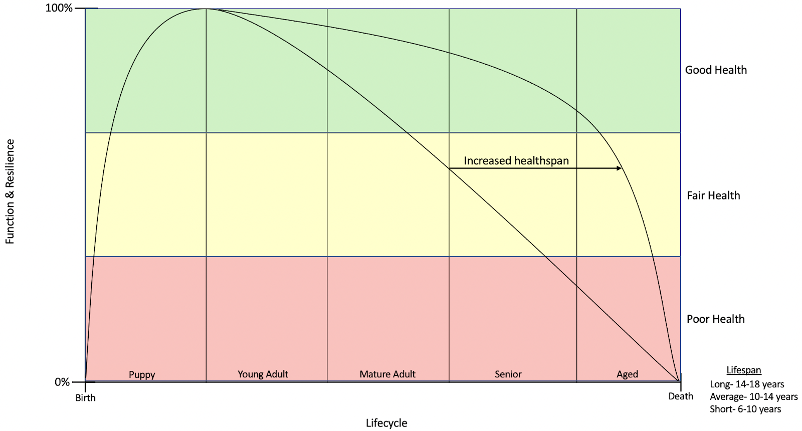 Chart

Description automatically generated