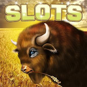 Buffalo Gold Slots 2019