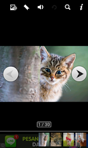 amazing animal wallpapers screenshot 0