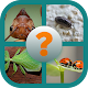 Download identificar insectos por fotos quiz For PC Windows and Mac