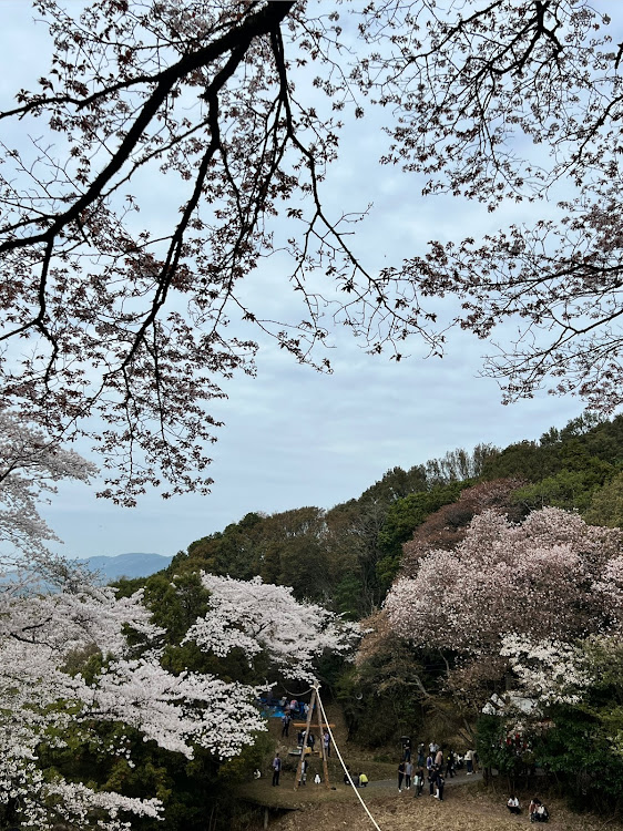 の投稿画像3枚目