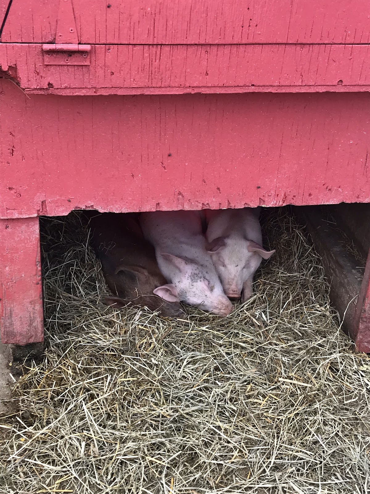 farms in southern ontario