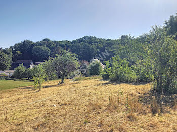 terrain à Saint-Gervais-la-Forêt (41)