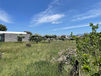 terrain à Saint-Estève (66)