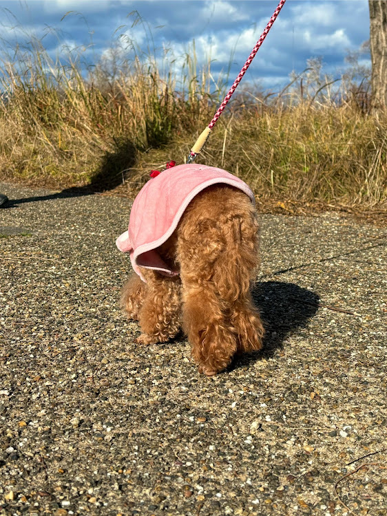 コペンの朝活・琵琶湖調査・みこちゃん・いつもの場所でいつものメンバー・タイヤ交換に関するカスタム事例の投稿画像9枚目