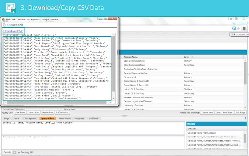 SDFC Dev Console Data Exporter