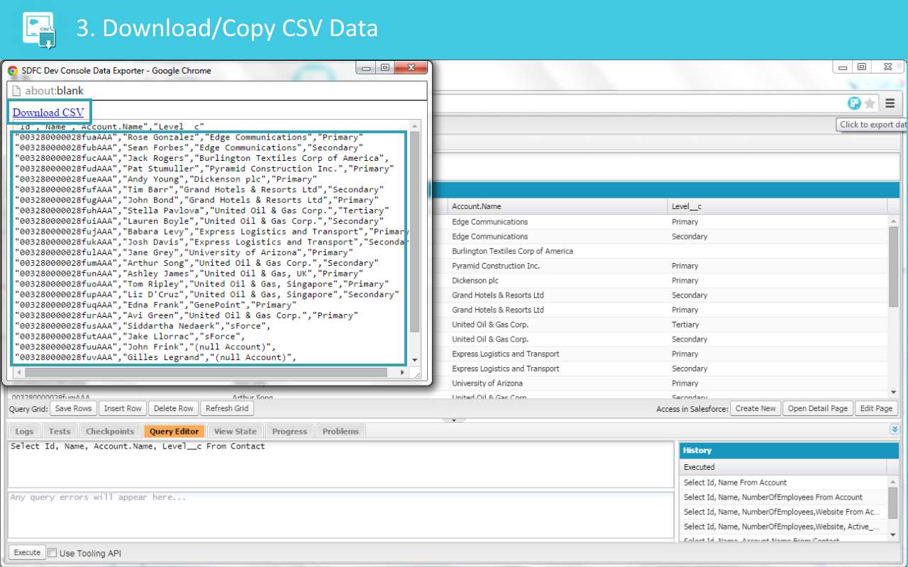 SDFC Dev Console Data Exporter Preview image 6