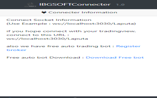 IBGSOFT Websocket Connecter