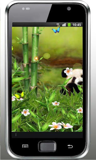 Panda Funny live wallpaper