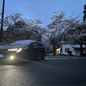 カローラツーリング ZWE211W