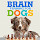 Brain Training For Dogs