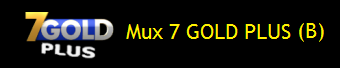 https://sites.google.com/site/litaliaindigitale/emiliaromagnaindigitale/mux-7-gold-plus