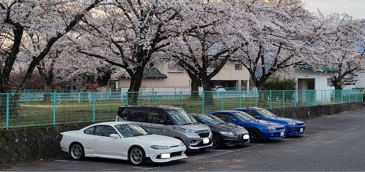 スカイラインのER34・桜と愛車・桜とコラボ・桜に関するカスタム事例の投稿画像2枚目