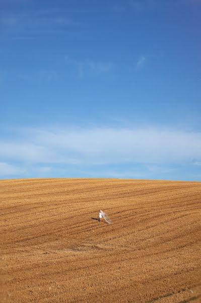 Fotógrafo de bodas Elena Joland (labellefrance). Foto del 24 de diciembre 2017