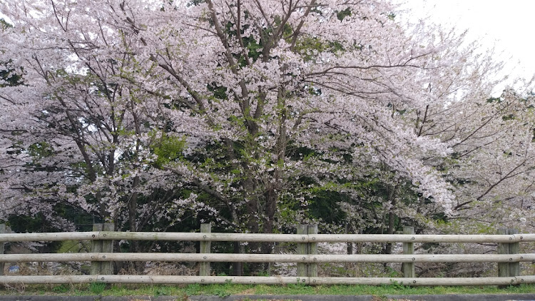 の投稿画像3枚目