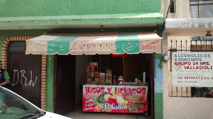 Jugos y Licuados 'El Gabi'