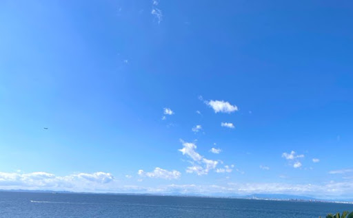大空へ羽をバタバタ