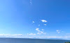 大空へ羽をバタバタ