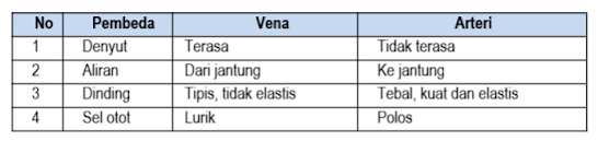 Sifat yang tepat dari pembuluh darah vena dan arteri ditunjukkan oleh nomor ....