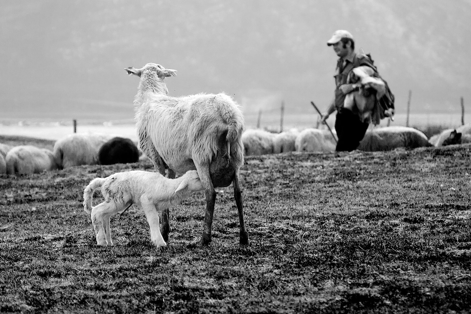 la mia prima ora ........ di faranfaluca