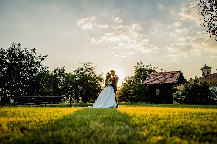 Wedding photographer Dan Alexa (danalexa). Photo of 13 August 2017