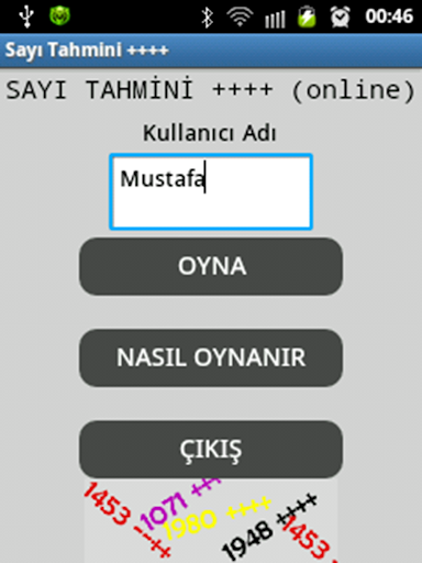 Sayı Tahmini ++++ online