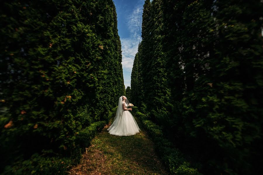 Wedding photographer Valeriya Yaskovec (tkachykvalery). Photo of 23 September 2015