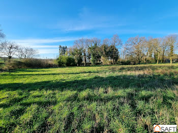 terrain à Pléchâtel (35)