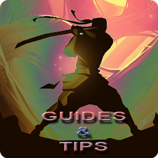 Guides Shadow Fight 2