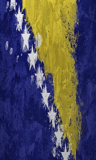 Bosnia and Herzegovina Flag