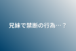 兄妹で禁断の行為…？