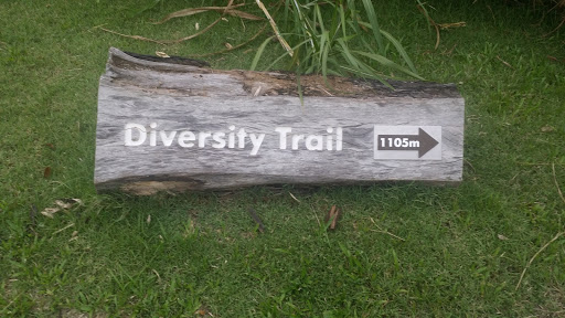 Diversity TRAIL