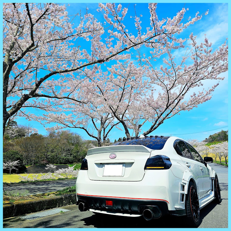 WRX S4の桜コラボ🌸リベンジに関するカスタム事例の投稿画像2枚目