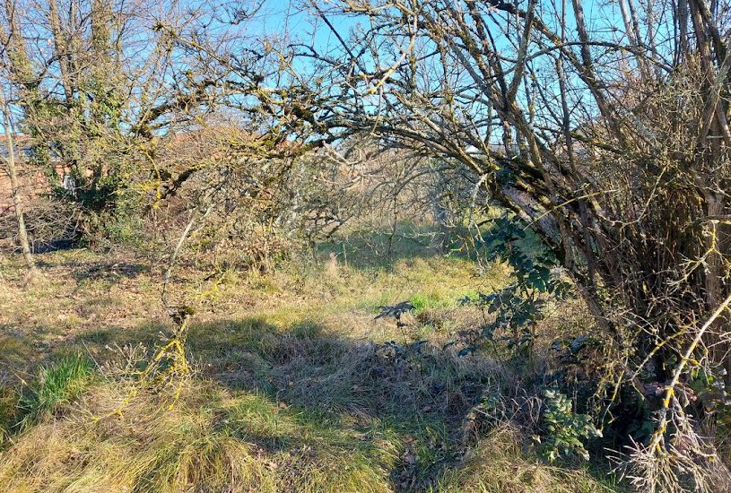  Vente Terrain à bâtir - 960m² à Francheleins (01090) 