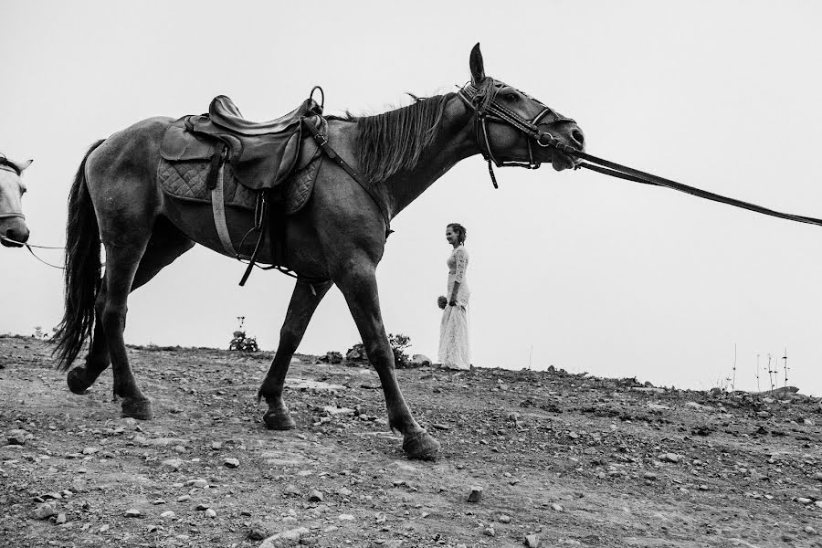 Fotograful de nuntă Yuliya Vasileva (nordost). Fotografia din 31 octombrie 2018