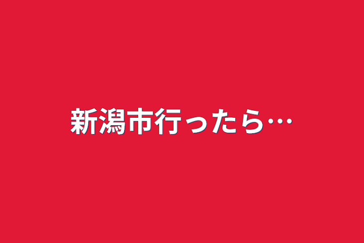 「新潟市行ったら…」のメインビジュアル