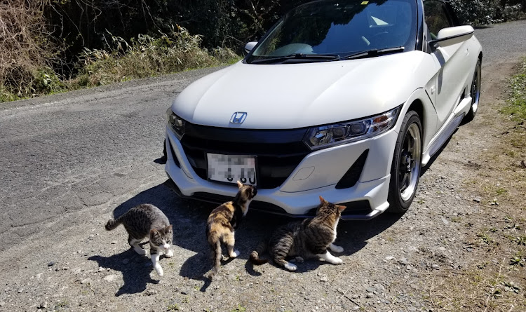 S660のフォロワー50,000人・猫に関するカスタム事例の投稿画像2枚目