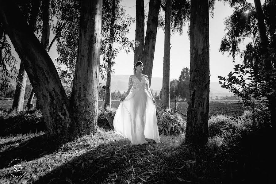 Fotógrafo de casamento Bruno Cruzado (brunocruzado). Foto de 6 de setembro 2022