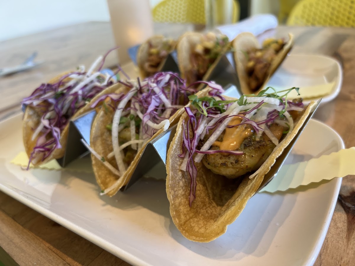 Gluten-Free at Honest Taco