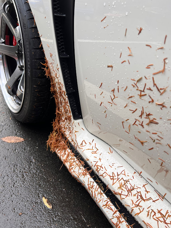 シビックタイプRのシビックタイプR・メタセコイア・紅葉・洗車したい…に関するカスタム事例の投稿画像5枚目