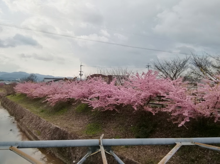 の投稿画像6枚目