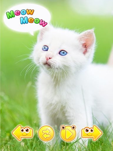 免費下載教育APP|cute animal pictures & sounds app開箱文|APP開箱王